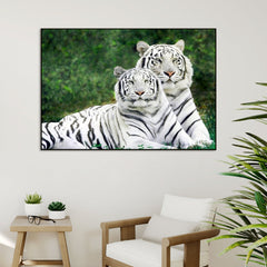 Gorgeous White Tiger Couple Wildlife Painting for Living Room