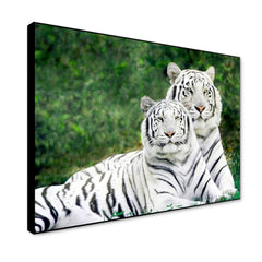 Gorgeous White Tiger Couple Wildlife Painting for Living Room