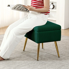 Zim Velvet Ottoman/Poufee Stool