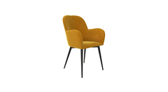 Araceli Accent Chair