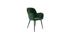 Araceli Accent Chair