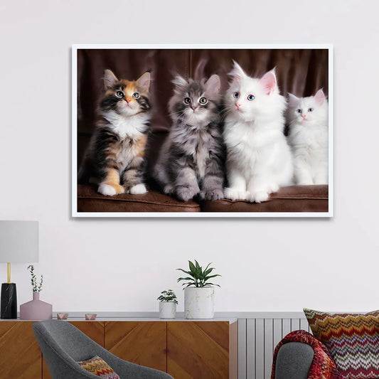 Black & White Cat Canvas Printed Wall Paintings & Arts