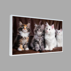 Black & White Cat Canvas Printed Wall Paintings & Arts