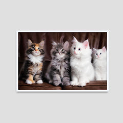 Black & White Cat Canvas Printed Wall Paintings & Arts