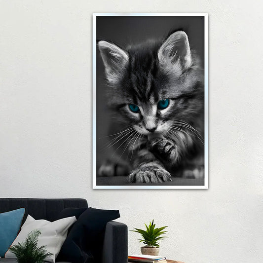 Beautiful Blue Eyed Baby Cat Home Office Decorative Canvas  Wall Paintings