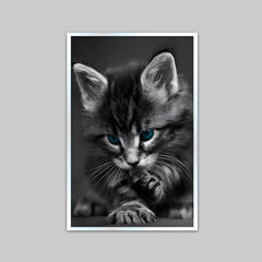 Beautiful Blue Eyed Baby Cat Home Office Decorative Canvas  Wall Paintings