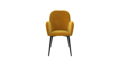 Araceli Accent Chair