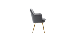 Tonas Accent Chair