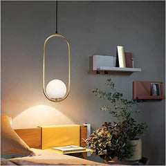 Big Capsule Shaped Single Globe Golden Hanging Light