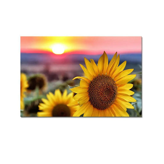 Sunflower With Sunset Scenery Canvas Prints Wooden Wall Painting