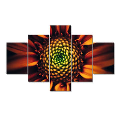 Beautiful Macro Shot Sunflower 5 Pieces Canvas Print Wall Painting