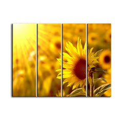 Sunflower Garden Wall Painting 4 Pieces Canvas Printed Painting