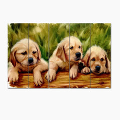 Three Labrador Retriever Puppy Sitting Canvas Wall Painting