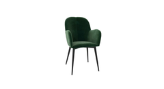 Araceli Accent Chair