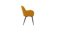 Araceli Accent Chair