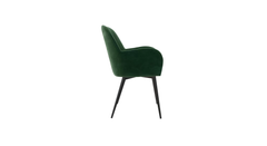 Araceli Accent Chair