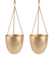 Hanging Capsule Planter Set of 2