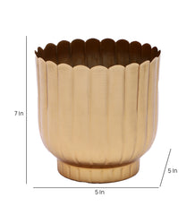 Striped Gold Flower Pot Set of 2