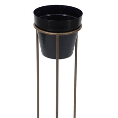 Big Pot Shape Planter Gold & Black Planter Stand Set of 2