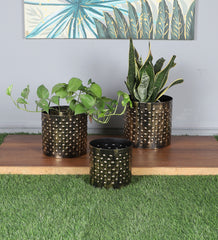 Black & Gold Dot Hammred Planter Set of 3