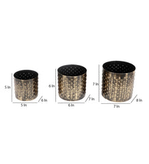 Black & Gold Dot Hammred Planter Set of 3