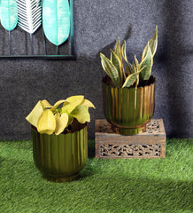 Striped Gold Flower Pot Set of 2