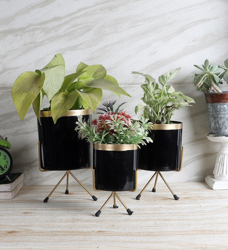 Black & Gold Metal Votive Planter Set of 3