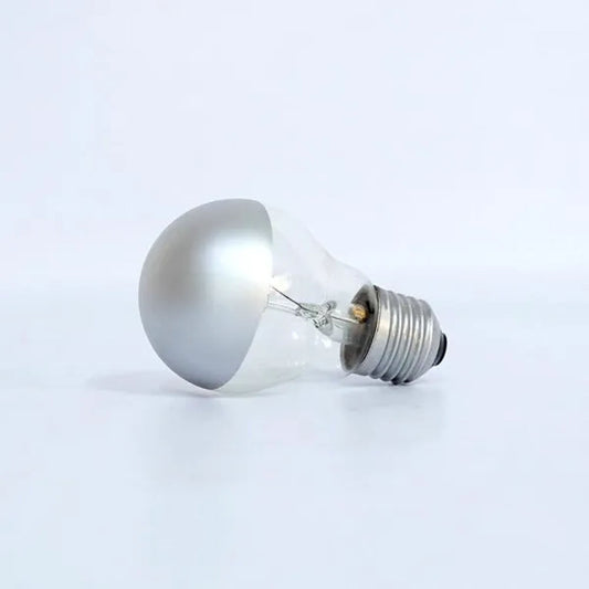 Silver Bright Tipped 100 Watt Filament Shadow Light Bulb – Set of 2 bulbs
