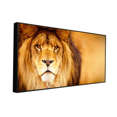 Life-Like African Male Lion Wall Portrait / Wildlife Painting