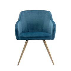 Aesthetic Velvet Accent Chair