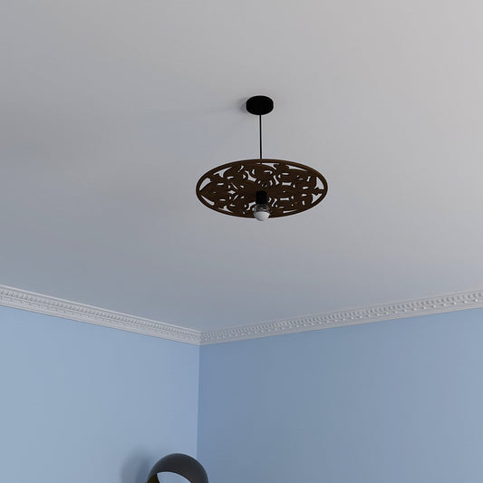 Round Designer Ceiling Shadow Lamp